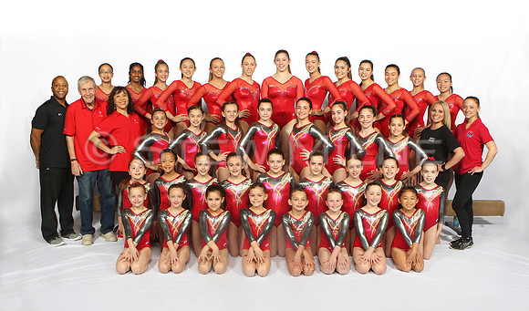 whole_team_coaches