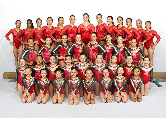 whole_team_5x7