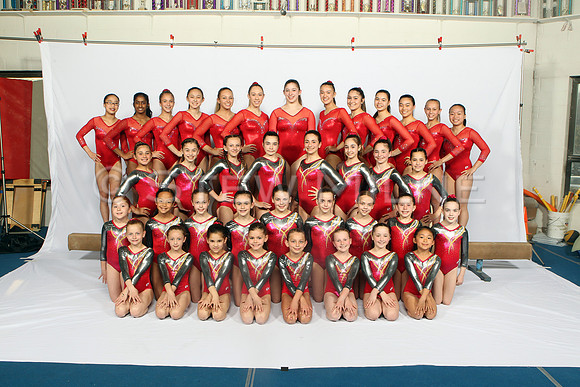 whole_team