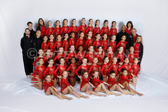 whole_team_coaches