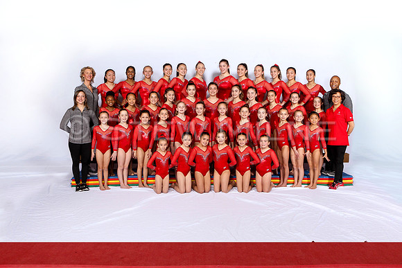 whole_team_coaches