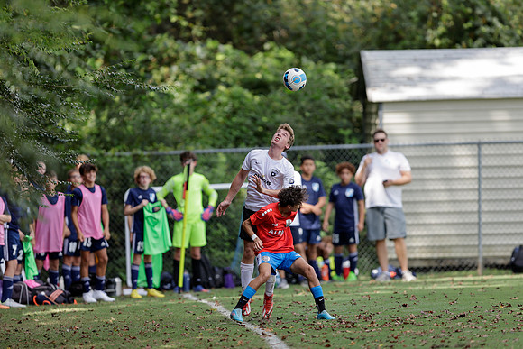 Liberty_Cup_280