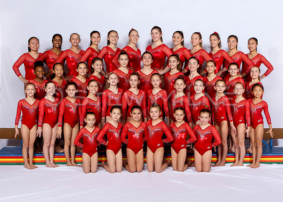 whole_team