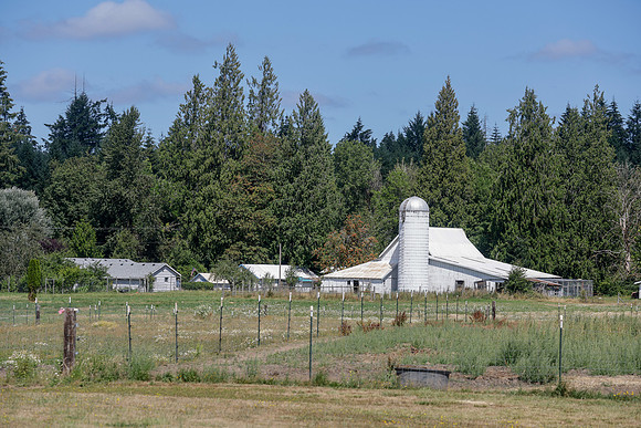 WA-39236