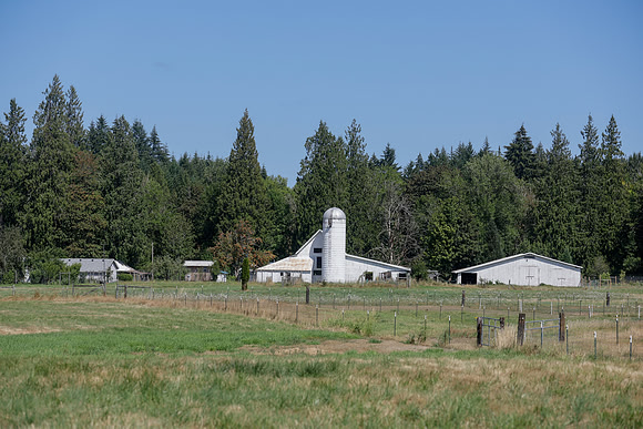WA-39397