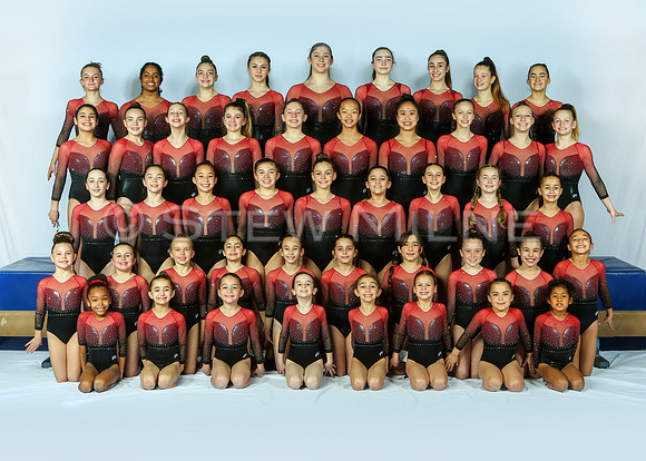 wholeteam_5x7