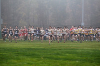 JV_States_019