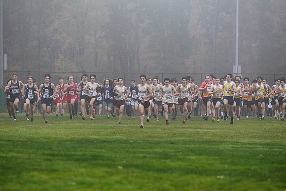 JV_States_019