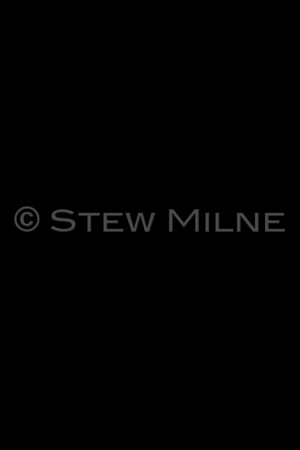 CS1H2154