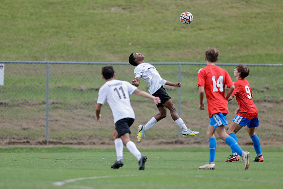 Liberty_Cup_234