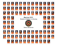 Auburn College of Nursing  Cohort Spring 25